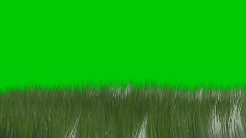 green screen (grass) - YouTube