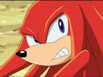 Knuckles Sonic, Echidna, Sonic satam