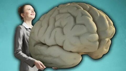 Why Do Humans Have Such Big Brains? - Seeker