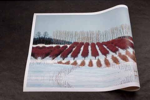 Unstretched Canvas Giclèe Prints - Grand River Giclee