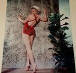 Sheree north hot ♥ Celebrity Legs Hall of Fame