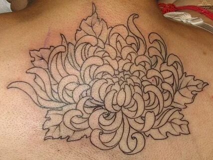 Chrysthanthemum Outline Chrysanthemum tattoo, Chrysanthemum 