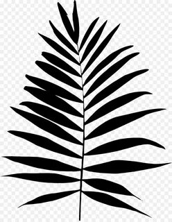 Cartoon Palm Tree png download - 1874*2400 - Free Transparen