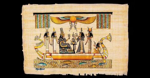 Papyrus Plant Egypt Egyptian Papyrus - Swan Bazaar Blogs