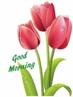Good morning Good morning flowers, Good morning greetings, L