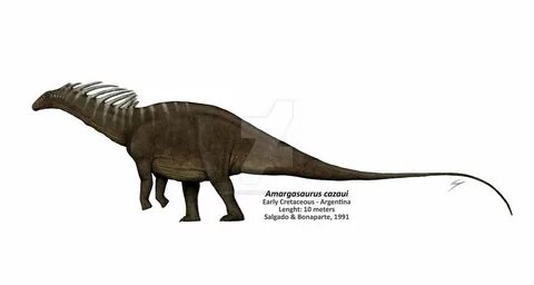 Amargasaurus cazaui reconstruction by DefinetilyNotPedro Pre
