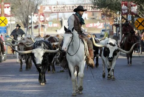 TEXAS ICON: Fort Worth Stockyards Could Fade into History