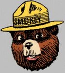 How Smokey the Bear Has Saved millions of Acres of Forests f