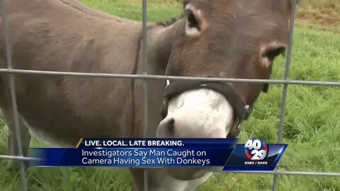 Man accused of having sex with Siloam Springs family’s pet d