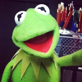 Kermit the Frog on Twitter: "Happy #NationalSelfieDay! Today