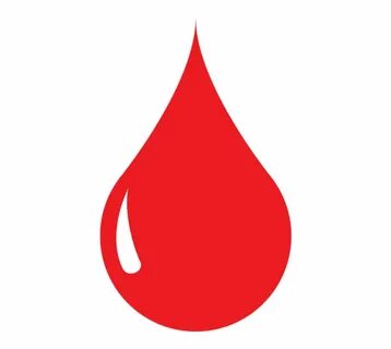 Blood Vector - Blood Drop Transparent PNG Download #215256 -