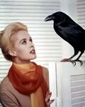 Tippi Hedren Style Related Keywords & Suggestions - Tippi He
