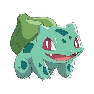 Funny Bulbasaur Related Keywords & Suggestions - Funny Bulba