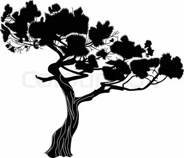 Stock vector of ' Tree silhouette, Cypress trees, Silhouette