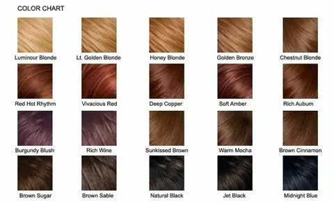 brown hair mixed color chart Hair color chart, Brown hair co
