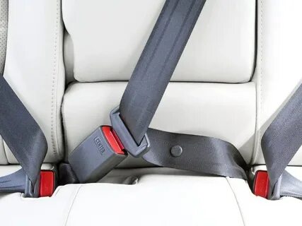 Safety Worksheet On Wearing Seat Belts Printable Worksheets 