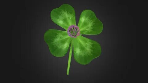 4 Leaf Clover - Download Free 3D model by uncle808us 0efddc6