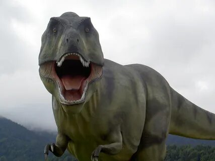 T Rex Dinosaur Park free image download