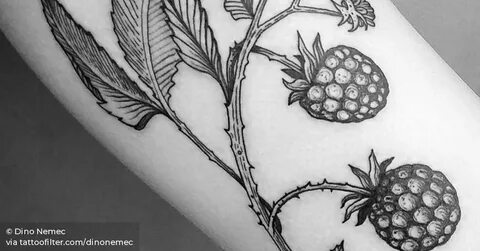 Illustrative style blackberries tattoo on the forearm.