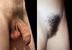 Protruding Pubes in Porn - 64 photos