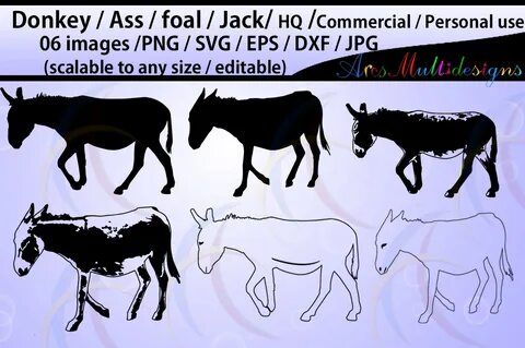 Donkey Silhouette Graphic by Arcs Multidesigns - Creative Fa