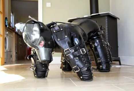 Rubber Canuck: Good Boy