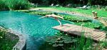 Image result for natural pool Swimming pool pond, Natural sw