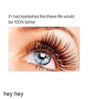 ✅ 25+ Best Memes About Fake-Eye-Lashes Fake-Eye-Lashes Memes