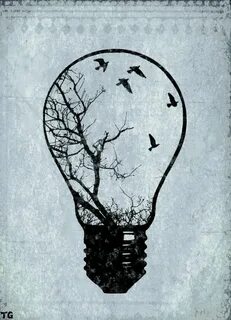 Light Bulb Birds, Tiffany Graham Art drawings, Drawings, Ske