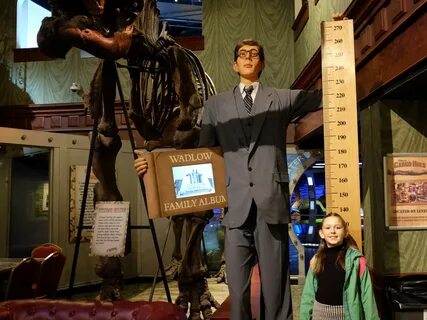 Ripley’s Believe it or not London - Review - You need to vis