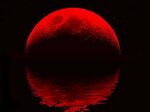 Blood Moon 4K Wallpapers Wallpapers - Most Popular Blood Moo