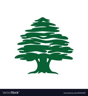 Abstract cedar tree icon Royalty Free Vector Image