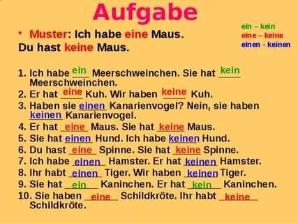 Презентация по теме "Tiere" по немецкому языку в 5 классе