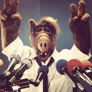 ALF!! One of my all time favorite TV shows and my very first