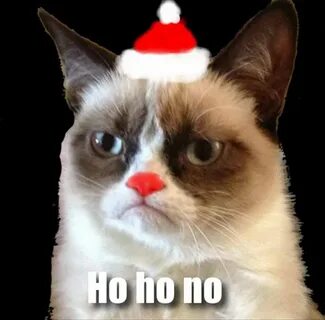 Christmas Grumpy Cat Quotes. QuotesGram