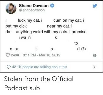 Shane Dawson I Uck My Cat Icum on My Cat I Put My Dick Do An