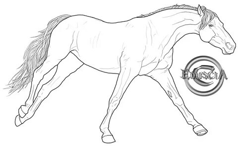 65 Free Horse Lineart - Cliparting.com