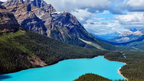 Download Wallpaper Peyto Lake in the Canadian rocks (1920x10