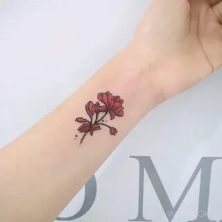 Tattoos, Flower tattoo, Geranium tattoo