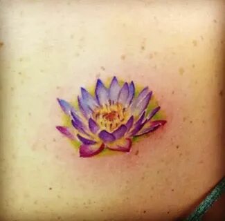 lookingglassnj Water Lily tattoo by Amber Opal Water lily ta