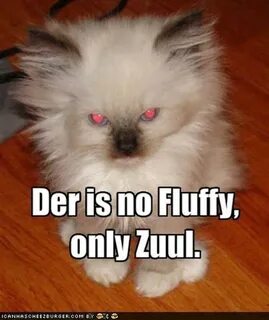 Image - 314021 There Is No Dana, Only Zuul Know Your Meme