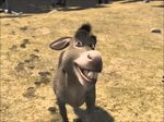 Donkey Shrek Blank Template - Imgflip