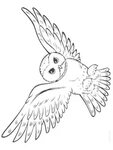 colouring page Flying owl coloringpage.ca