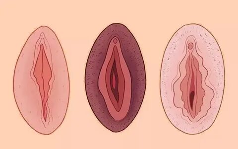 Tenho lábios vaginais desproporcionais - É normal?