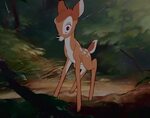 Disney Animated Movies for Life: Bambi Part 1