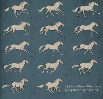 Pin by Нина Александровна on Quadraped REF Horse drawings, R