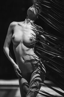 Rebecca Bagnol nude - FitNudeGirls.com