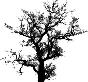 clipart oak tree silhouette - image #17