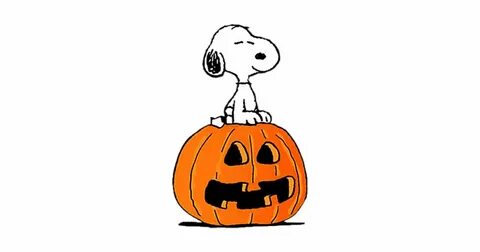 Pin by Maralee Lombardo on Snoopy Snoopy halloween, Charlie 