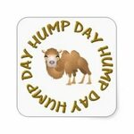 Hump Day Clipart - Homiped